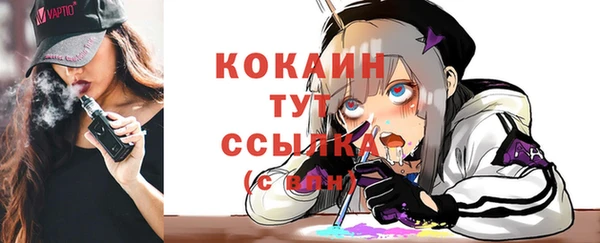 стаф Новодвинск