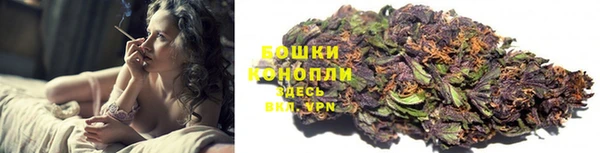 стаф Новодвинск