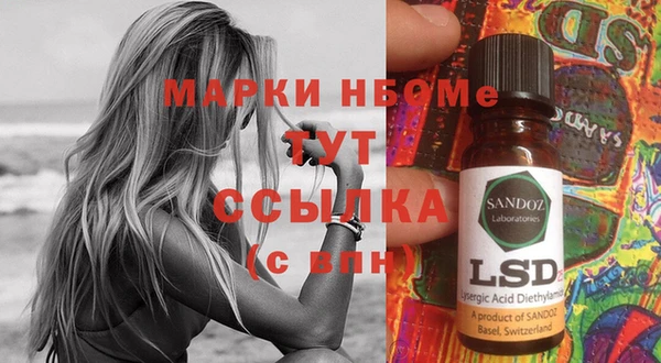 спиды Новозыбков