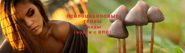 хмурый Новокубанск