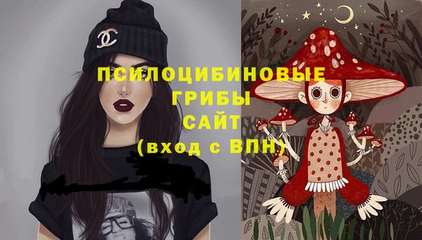 стаф Новодвинск