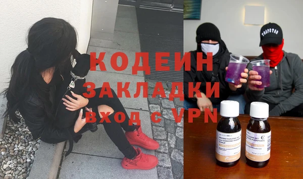 стаф Новодвинск