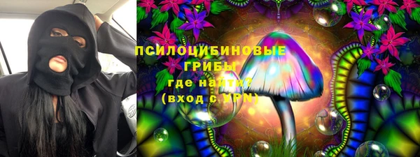 стаф Новодвинск