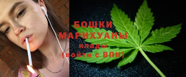 спиды Новозыбков