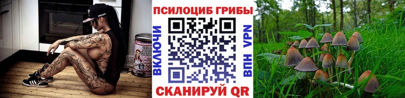 hydra онион  Кулебаки  Псилоцибиновые грибы мицелий 