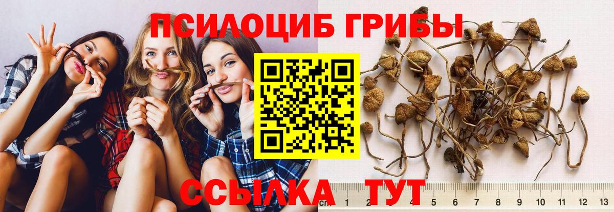 Псилоцибиновые грибы ЛСД  Вход с VPN  как найти закладки  Кулебаки 