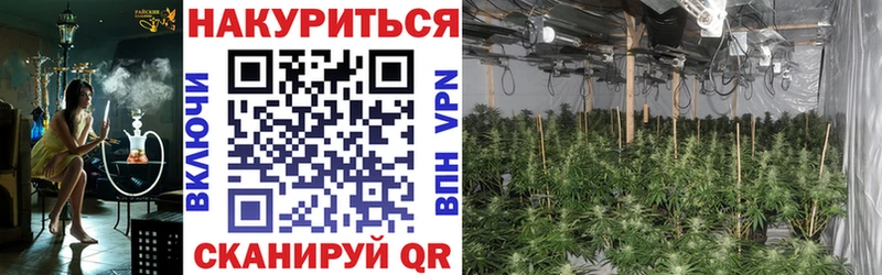 Каннабис конопля Кулебаки